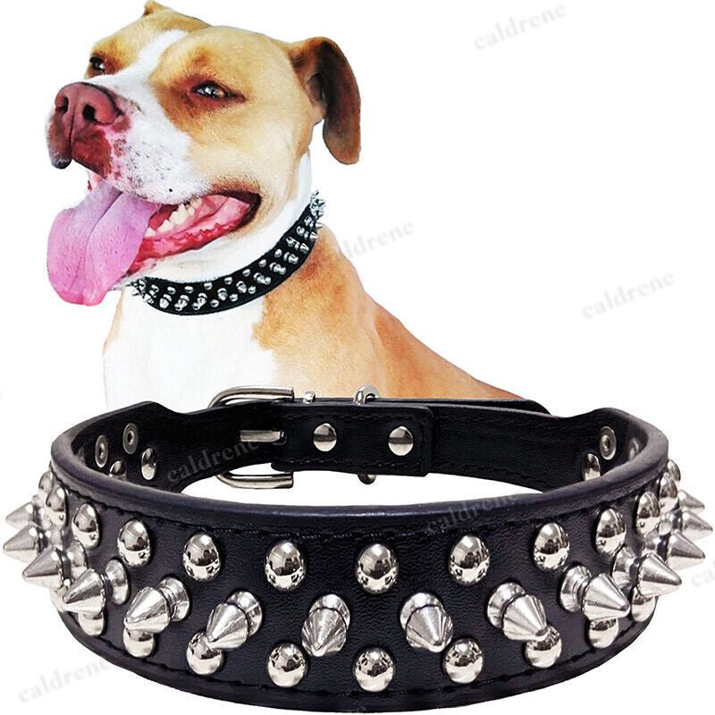 Studded Leather Dog Collar for Small to Large Breeds – view 7