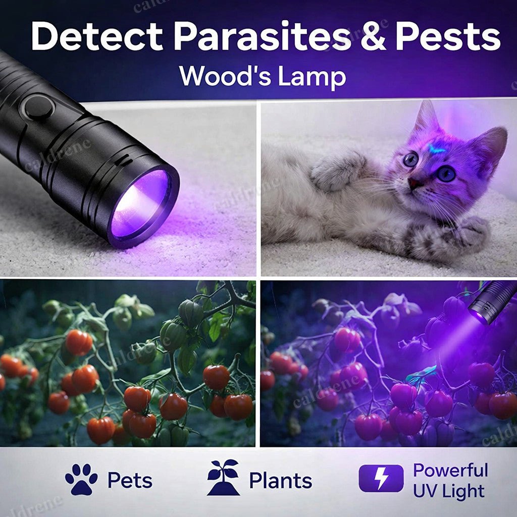 UV LED Flashlight for Inspection and Detection – view 8