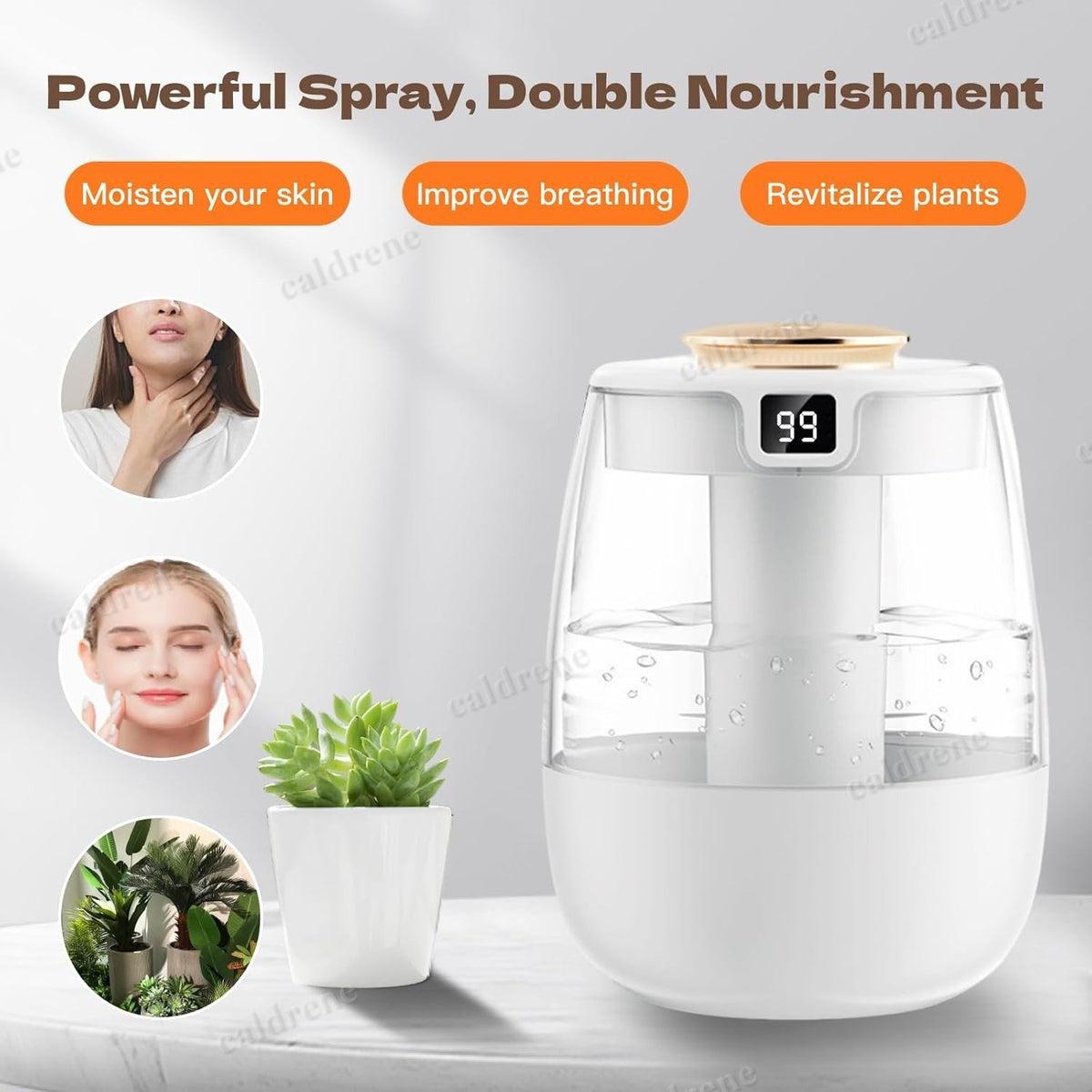 Warm and Cool Mist Humidifier, 1.5L – view 9