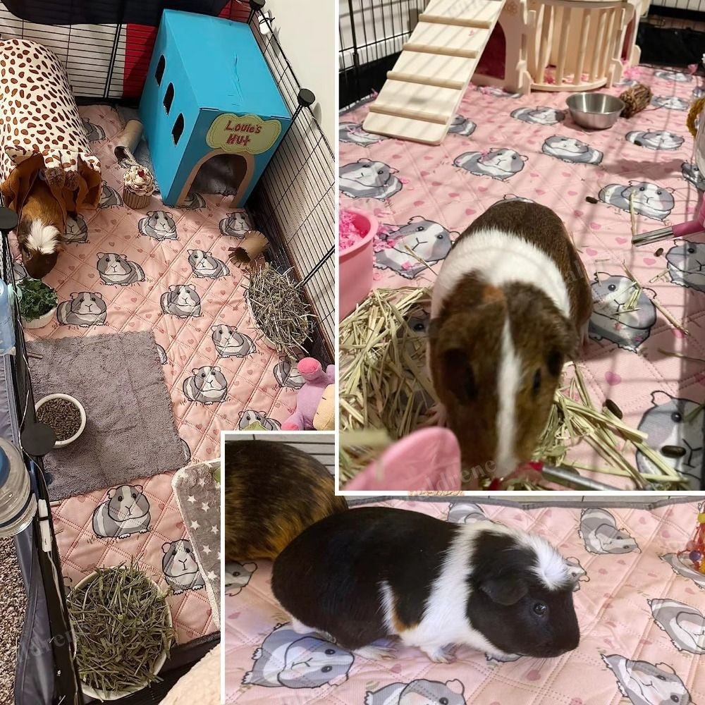 Washable Guinea Pig Cage Mat for Small Animals – view 3
