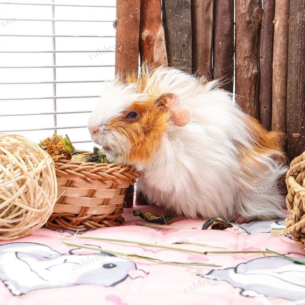 Washable Guinea Pig Cage Mat for Small Animals – view 7