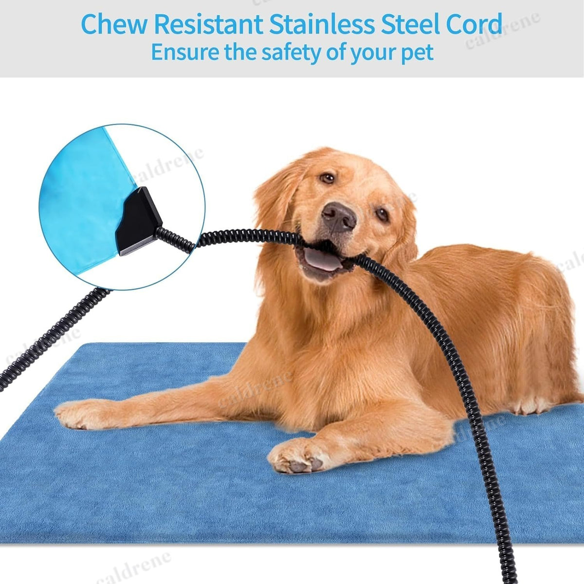 Waterproof Electric Heated Pet Pad for Cats and Dogs – view 3